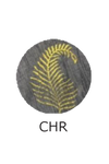 SCR383