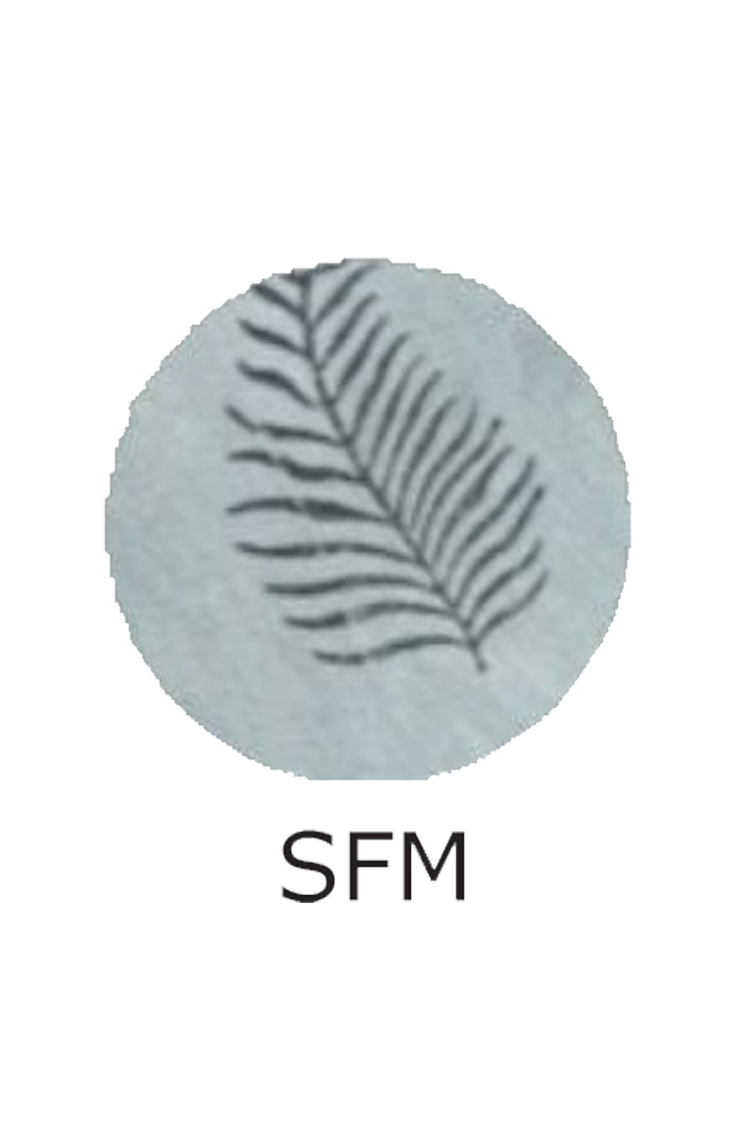 SCR383