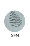 SCR383